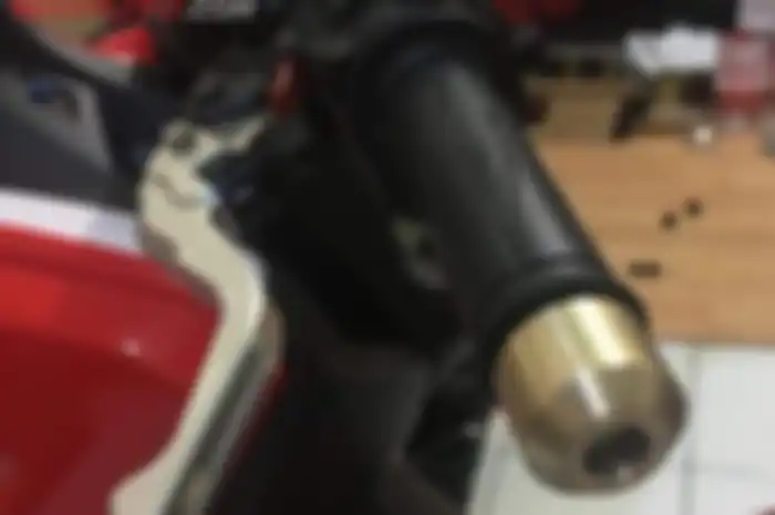 Jalu setang punya fungsi yang penting lho, sob.