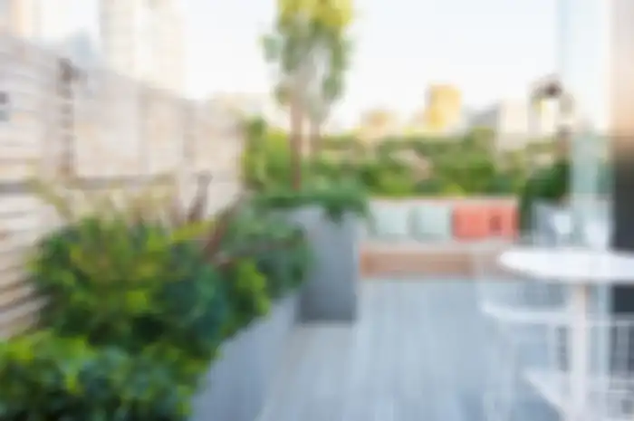 Roof Garden in Stockwell 