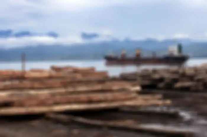 Praktik illegal logging di Papua Nugini untuk masuk ke pabrik-pabrik di China