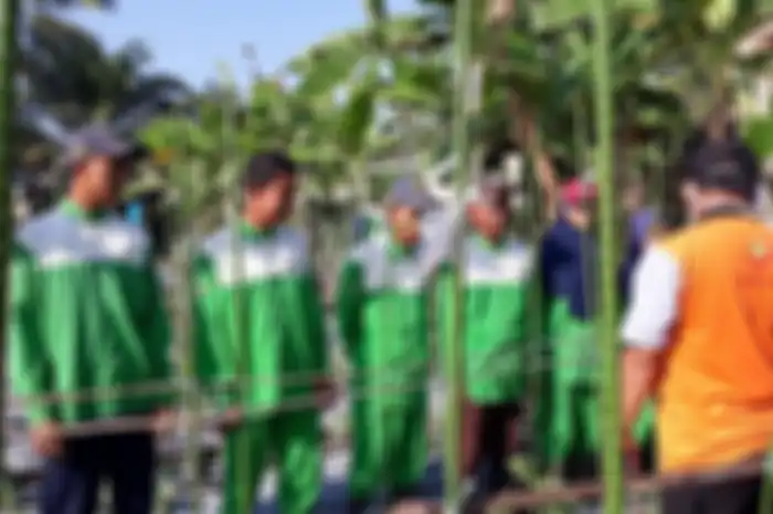 Program pendidikan vokasi Indonesia-Belanda
