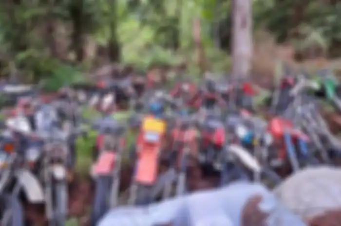 Ratusan motor parkir terbengkalai di pinggir hutan 
