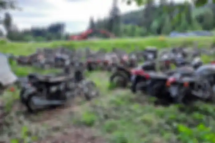Ratusan motor lawas tak terawat ternyata dijual bro