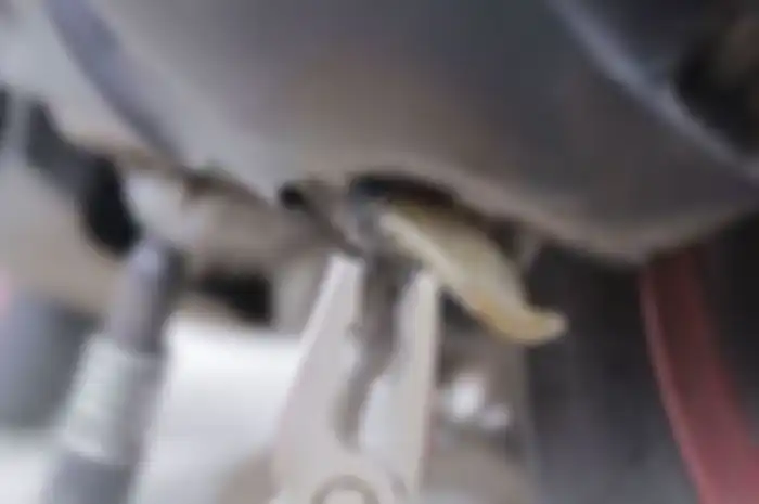 Slang buntu kecil CVT motor matic