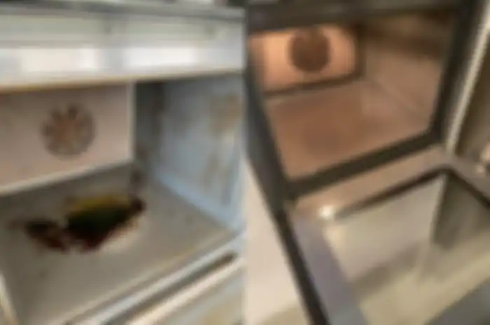 tips bersihkan kerak pada oven menggunakan pastik wrap