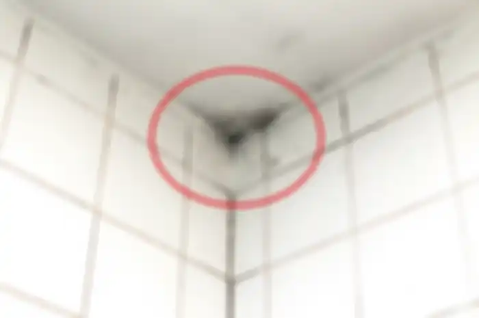 Menghilangkan jaur di kamar mandi