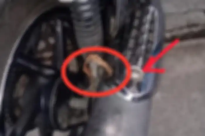 Viral Bikers Pasang Kabel Masa di Knalpot Motor, Klaim Suara Knalpot Jadi Lebih Adem dan Tenaga Makin Padat