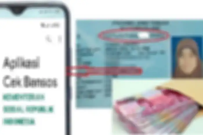 Hanya isi aplikasi dapat bantuan Rp 300 ribu sebulan