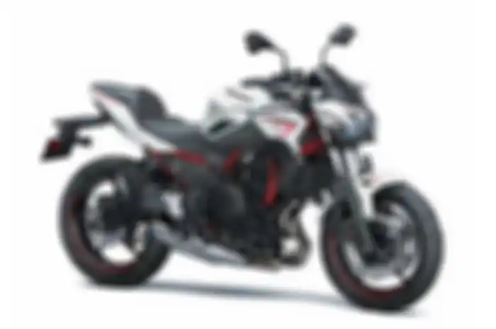 Motor gede alias moge Kawasaki Z650 dirilis dengan tipe dan pilihan warna baru, harganya segini bro.