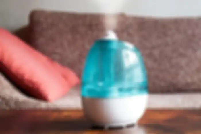 Berbagai manfaat penggunaan humidifier