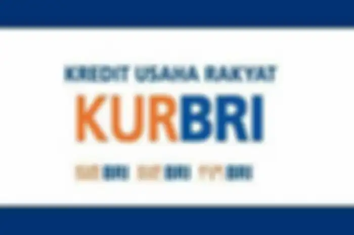 Program pinjaman Rp 50 juta tanpa jaminan dari KUR BRI