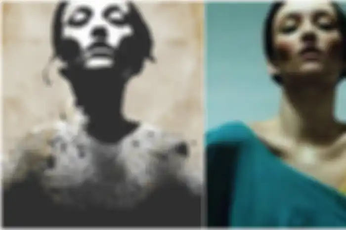 Model asal Perancis bernama Audrey Marnay membuat pengakuan kalau dirinya adalah wanita yang menjadi cover album 'Jane Doe'