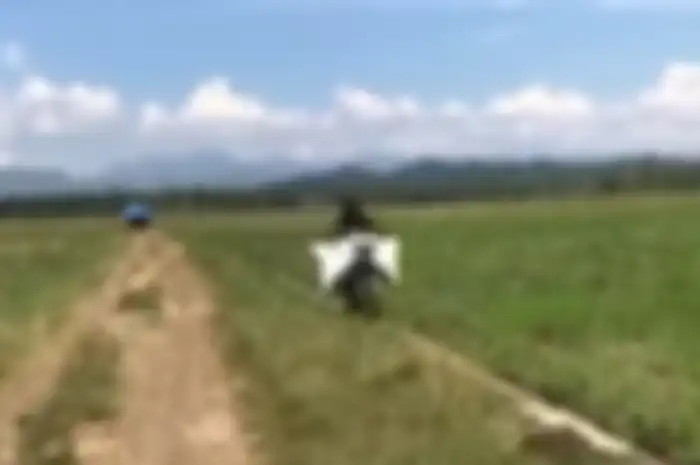 Valentino Rossi dan Marc Marquez bisa gemetar lihat video aksi petani yang memacu motornya di tengah sawah.