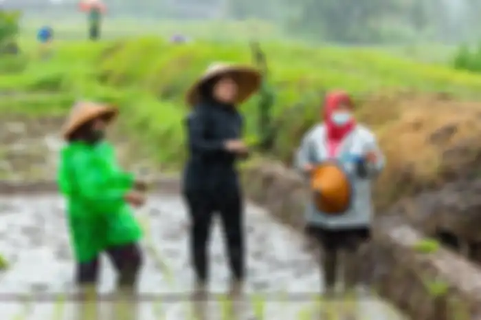 Foto Puan Maharani yang tampak sedang menanam padi bersama beberapa petani disentil Susi Pudjiastuti di media sosial. 