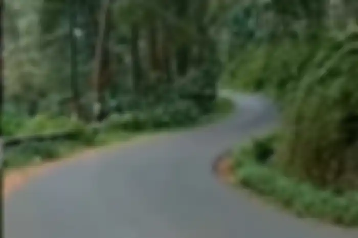 Viral video curhatan kurir Cash On Delivery (COD) terabas hutan dan pegunungan, isi paketnya malah bikin geram.