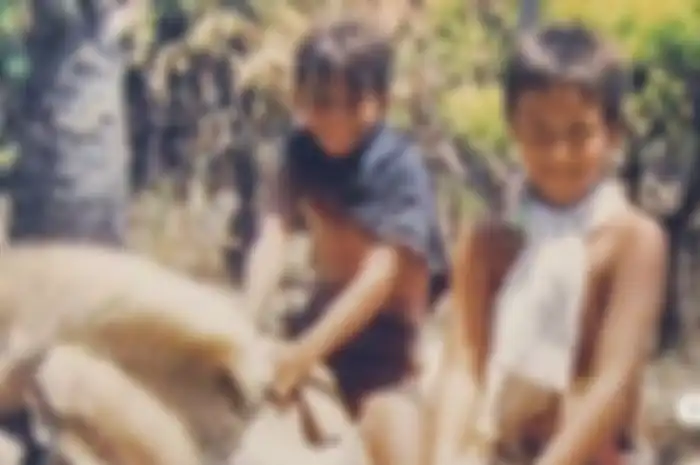 Sosok bocah kecil yang kini jadi perhatian banyak mata di Indonesia