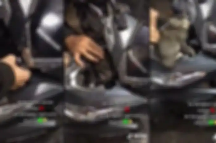 Seekor kucing ada di dalam cover depan Honda Vario