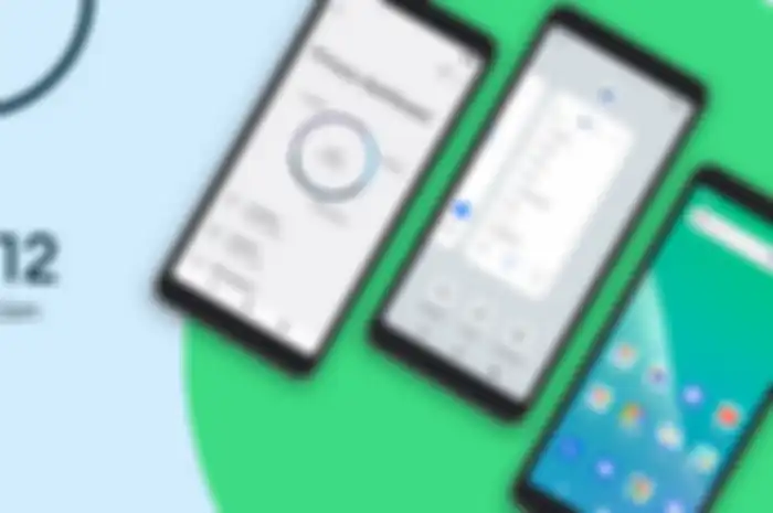 Tampilan Android 12 Go