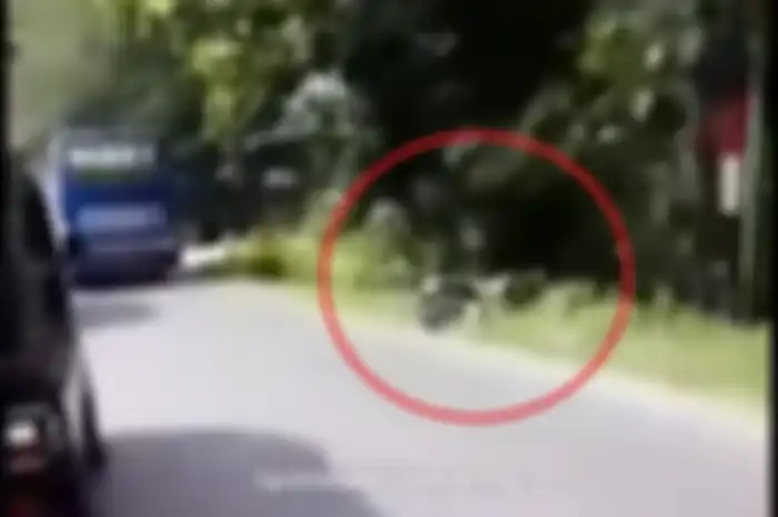 Ngilu, video detik-detik bus Rela ugal-ugalan ngeblong di jalan hingga membuat pemotor nyungsep, lalu ditinggal kabur.