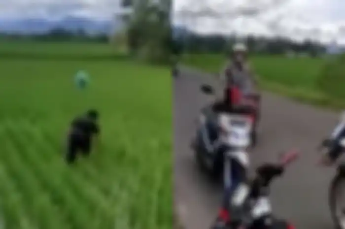Bikin nyengir, video pemotor menyamar jadi petani perkara menghindari tilang polisi.