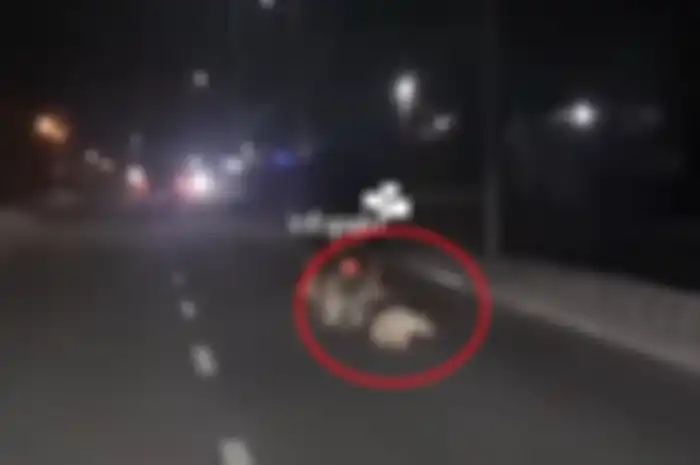 Enggak punya hati, video pemotor menyiksa dan menyeret seekor anjing hidup-hidup viral di media sosial.
