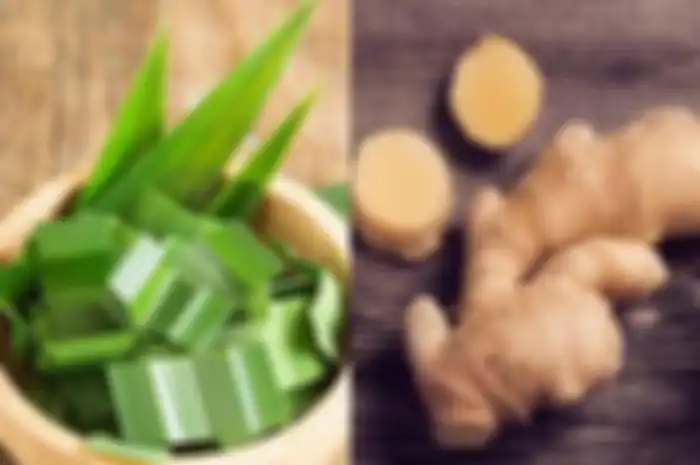 Manfaat daun pandan dan jahe