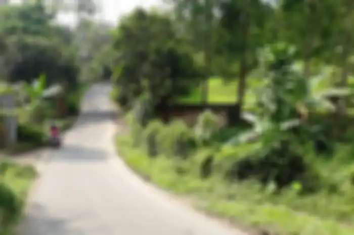 Jalur alternatif Puncak Bogor