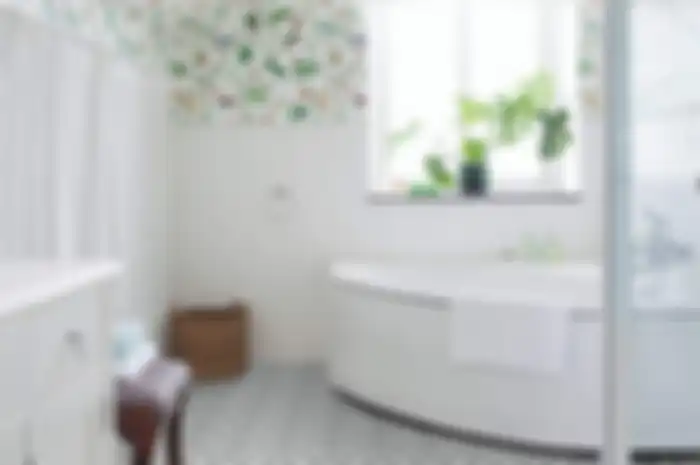 Ibu-ibu Cuma Butuh Dua Benda Ini Agar Kamar Mandi Tak Nampak Becek dan Pengap, Wajib Coba!