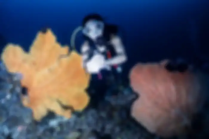 Gisel makin senang pamer foto diving di Instagram. Janda Gading Marten bak melupakan pahitnya ditolak balikan dengan sang mantan.