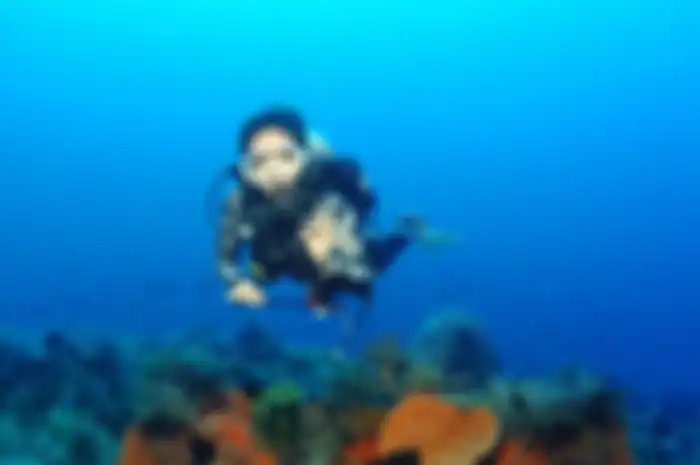 Gisel semakin sering pamer foto diving. Janda Gading Marten ketagihan berjumpa makhluk langka. Gisel pilih kabur dari rumah gegara sosok ini.
