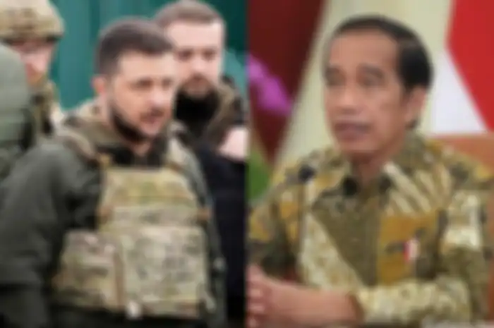 Presiden Ukraina minta bantuan Jokowi