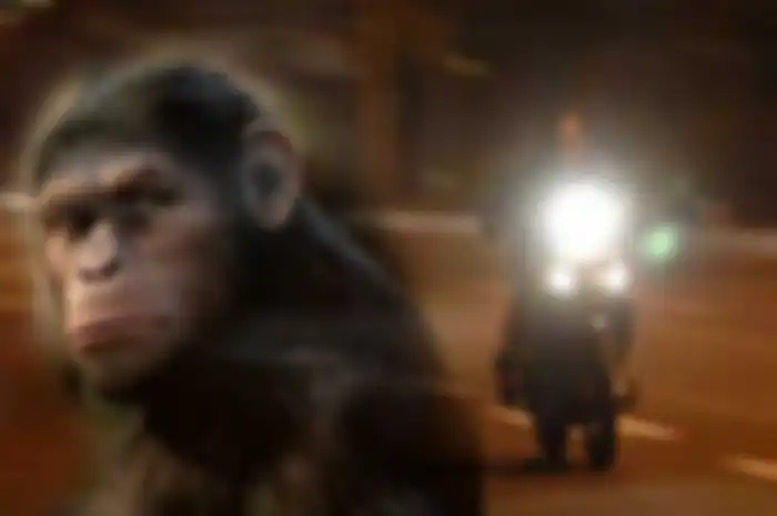 Mitos atau fakta, joki balap liar sering menggunakan ilmu monyet saat balapan, masih ada yang pakai saat ini?