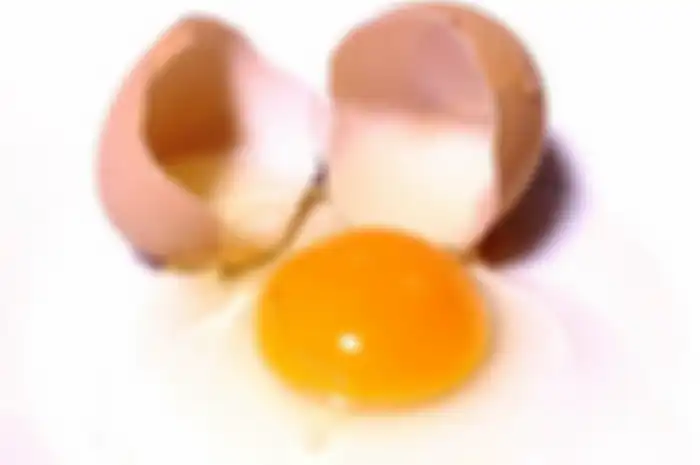 Ilustrasi Telur