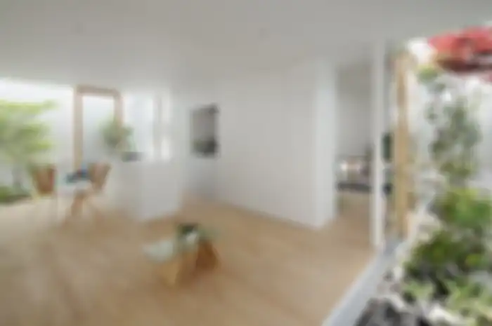 Bikin Rumah Makin Damai dan Tenang dengan Desain Rumah Minimalis Berkonsep Zen! Terbongkar Caranya Tanpa Perlu Bayar Desainer Interior