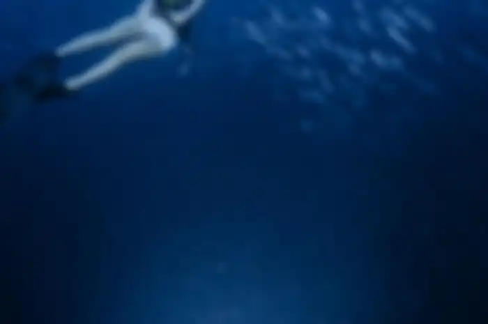 Gisel ketagihan memamerkan foto diving di akun Instagram miliknya. Bahkan, mantan istri Gading Marten rela memandam rindu pada sosok ini.