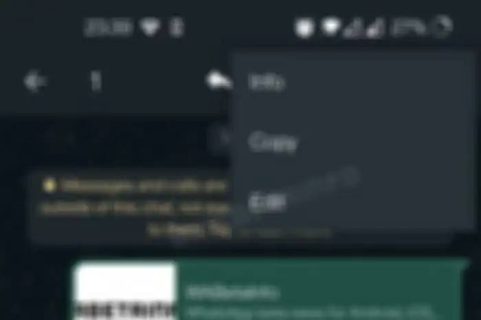 Fitur edit teks yang akan diluncurkan WhatsApp
