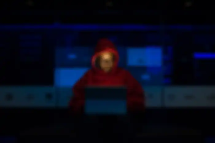 Ilustrasi penggunaan browser untuk menjelajah deep web