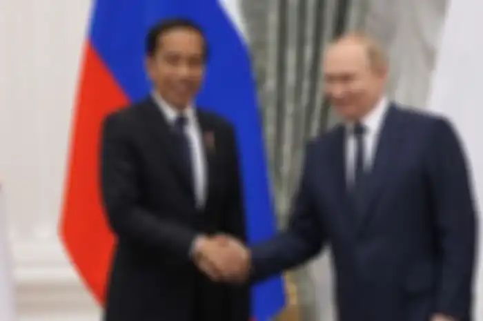 Presiden Joko Widodo mengatakan upaya untuk mempromosikan pembicaraan damai belum membuahkan hasil, dan kini perang belum usai.