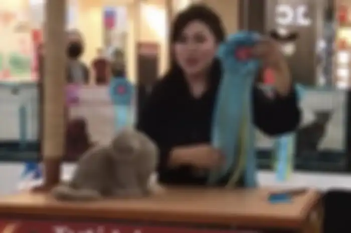 Micin kucing Gisel berhasil menyabet penghargaan saat ikut kontes. Akibatnya, Gempi merasa bangga kucingnya jadi juara.