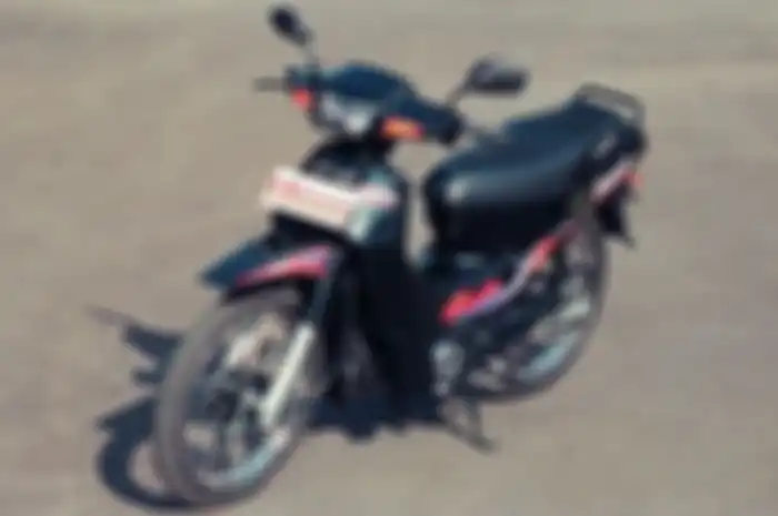 Kucing di Blitar Jual Motor Suzuki KZR Rp 1,2 Juta, Simak Faktanya