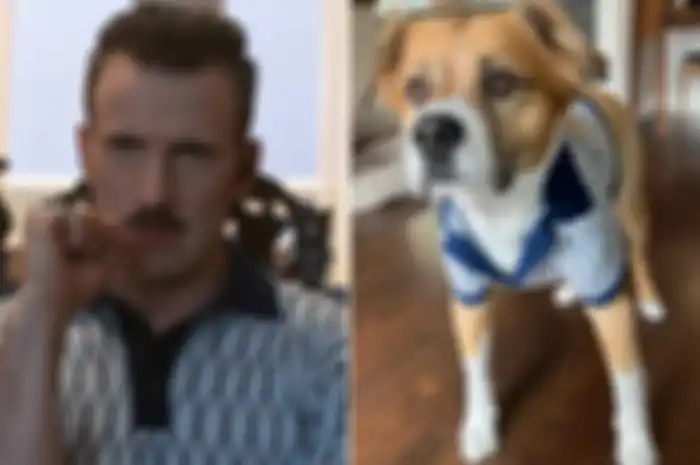 Chris Evans dandanin anjingnya mirip karakternya di The Gray Man, Lloyd