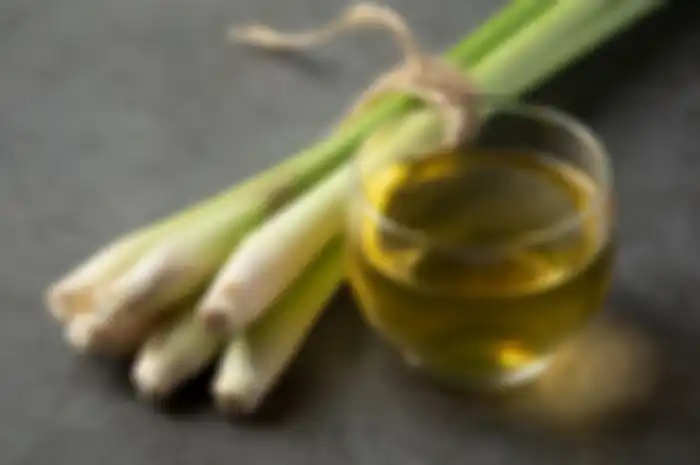 Selain untuk memasak, serai bisa digunakan untuk mengecilkan pori-pori di wajah