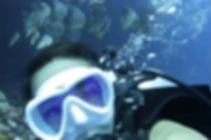Gisel sengaja posting foto diving unik di akun media sosial miliknya. Mantan istri Gading Marten ini berhasil selfie bareng ikan cantik di Alor.