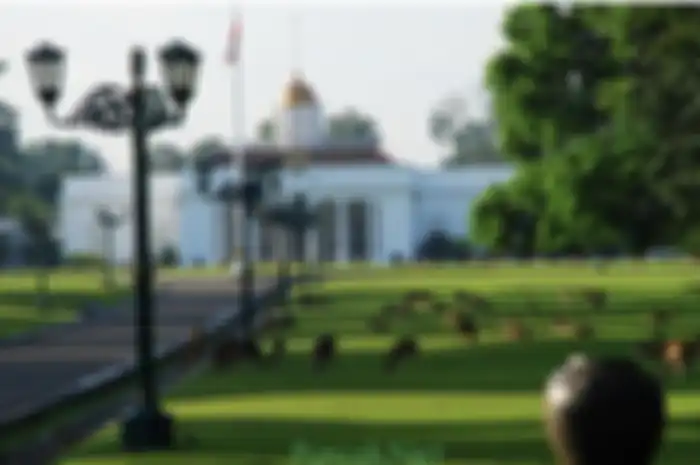 Jangan pergi jauh-jauh dari Jakarta. Ternyata ini 9 tempat wisata di Bogor yang cocok buat dapat foto aesthetic ala selebgram. 
