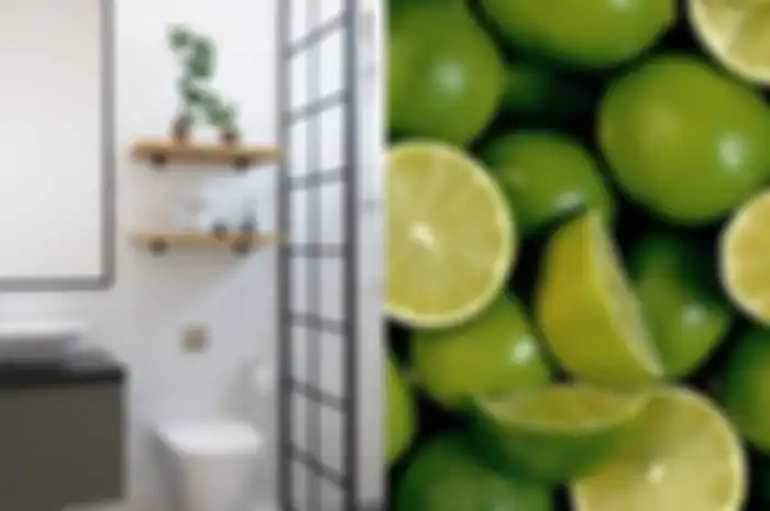 Cara Hilangkan Bau Got Membandel di Kamar Mandi, Ternyata Langsung Lenyap dengan Bantuan Irisan Buah Ini, Enggak Perlu Malu Lagi Sama Tetangga..