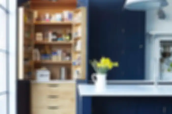 Ilustrasi pantry di dapur