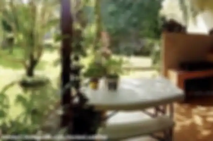 Ini trik mujarab pemilik rumah yang dipuji karena foto desain dapur terbuka semakin cantik. Tikus pun tak berani dekat-dekat.