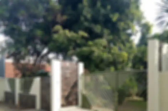 5 tanaman hias ini membawa sial jika ditanam di depan rumah kita. Lihat foto penampakannya agar tak salah. 