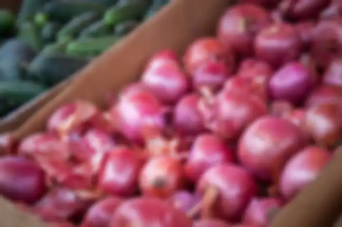 5 Langkah Cara Menanam Bawang Merah Agar Panen Dalam Hitungan Bulan
