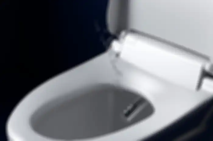 Yuk Pahami Pro Kontra Memiliki Bidet di Kamar Mandi!
