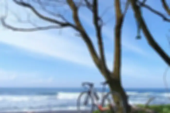 Inilah 5 tempat wisata pantai di Kulon Progo Jogja yang membuat hati senang karena banyak spot foto aesthetic. Wajib dikunjungi!